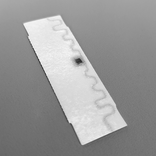 PXL_20251105_051909134